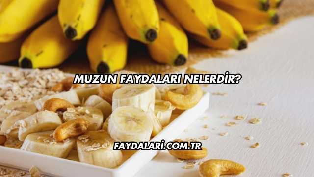 Muzun Faydaları Nelerdir?