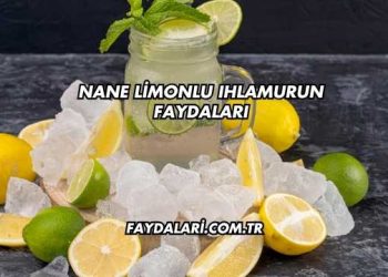 Nane Limonlu Ihlamurun Faydaları