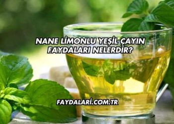 Nane Limonlu Yeşil Çayın Faydaları Nelerdir?