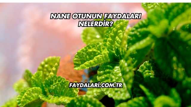 Nane Otunun Faydaları Nelerdir?