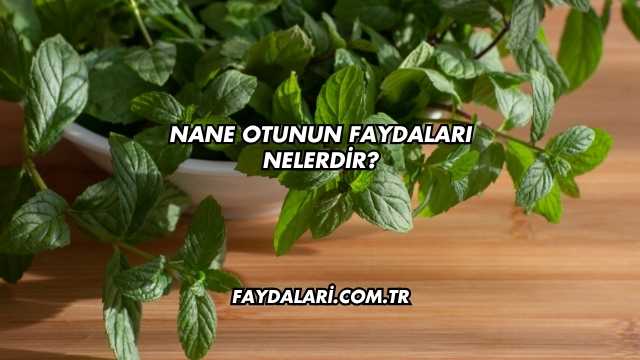 Nane Otunun Faydaları Nelerdir?