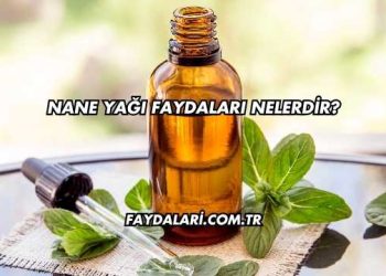 Nane Yağı Faydaları Nelerdir?