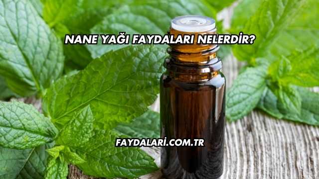 Nane Yağı Faydaları Nelerdir?