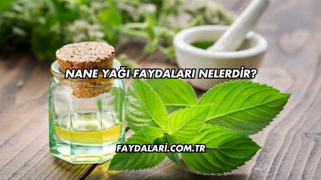 Nane Yağı Faydaları Nelerdir?