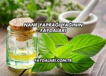 Nane Yaprağı Yağının Faydaları