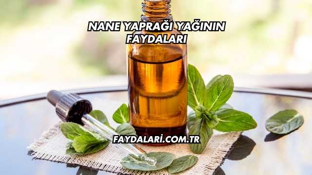 Nane Yaprağı Yağının Faydaları