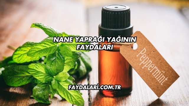 Nane Yaprağı Yağının Faydaları