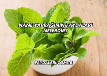 Nane Yaprağının Faydaları Nelerdir?