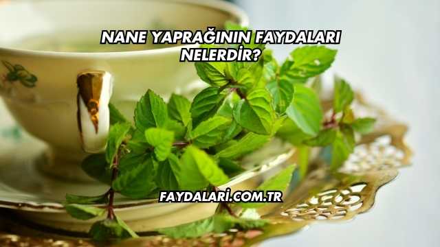 Nane Yaprağının Faydaları Nelerdir?