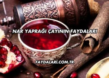 Nar Yaprağı Çayının Faydaları