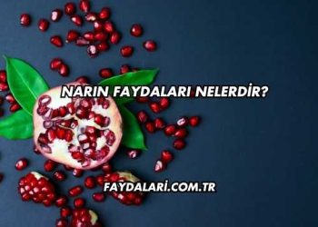 Narın Faydaları Nelerdir?