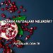 Narın Faydaları Nelerdir?