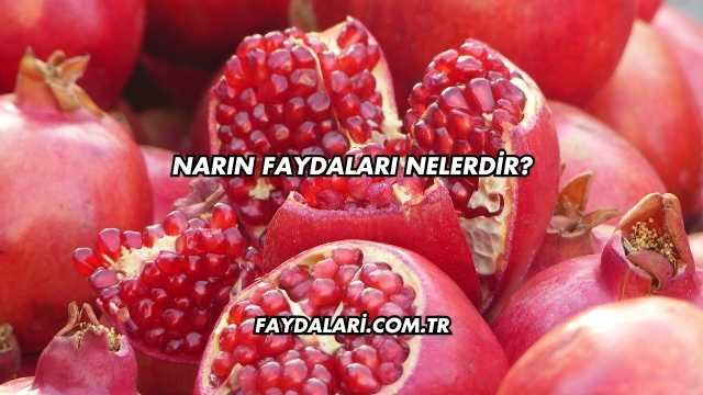 Narın Faydaları Nelerdir?