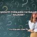 Negatif İyonların Faydaları Nelerdir?