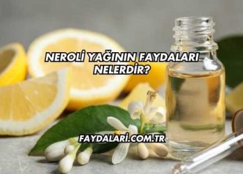 Neroli Yağının Faydaları Nelerdir?