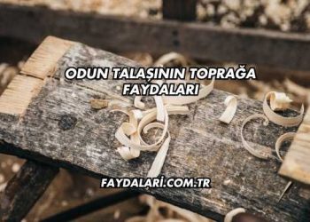 Odun Talaşının Toprağa Faydaları