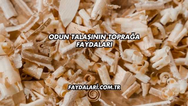 Odun Talaşının Toprağa Faydaları
