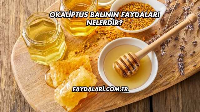 Okaliptus Balının Faydaları Nelerdir?