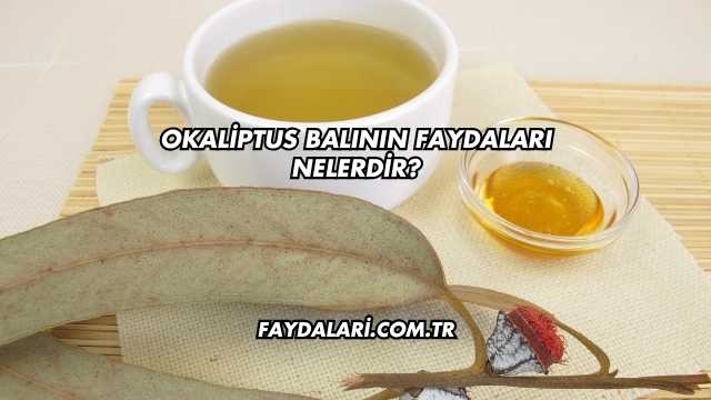 Okaliptus Balının Faydaları Nelerdir?
