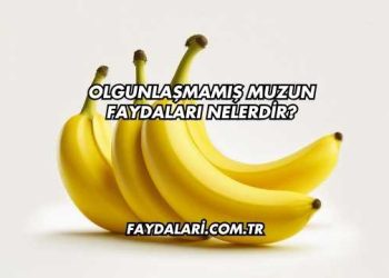 Olgunlaşmamış Muzun Faydaları Nelerdir?