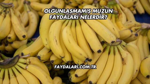 Olgunlaşmamış Muzun Faydaları Nelerdir?