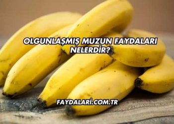 Olgunlaşmış Muzun Faydaları Nelerdir?