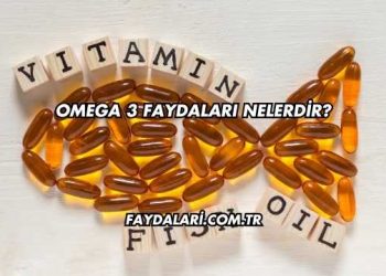 Omega 3 Faydaları Nelerdir?