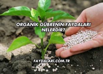 Organik Gübrenin Faydaları Nelerdir?