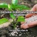 Organik Gübrenin Faydaları Nelerdir?