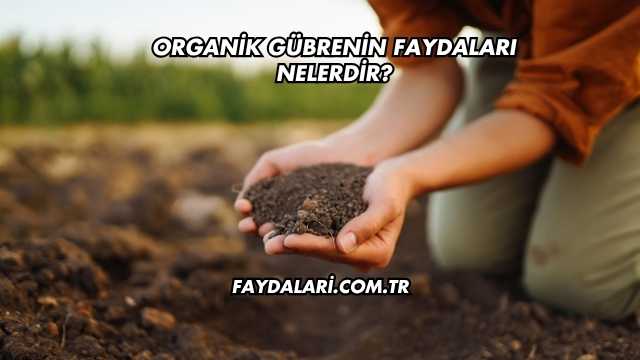 Organik Gübrenin Faydaları Nelerdir?
