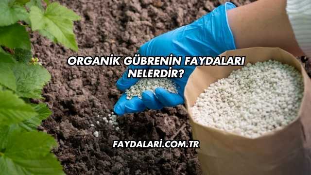 Organik Gübrenin Faydaları Nelerdir?