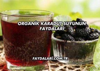 Organik Karadut Suyunun Faydaları