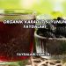 Organik Karadut Suyunun Faydaları