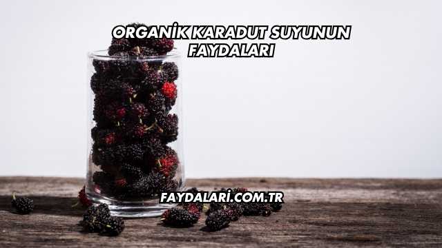 Organik Karadut Suyunun Faydaları