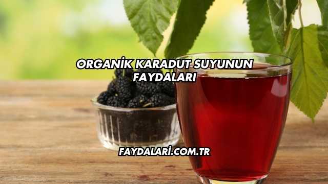 Organik Karadut Suyunun Faydaları