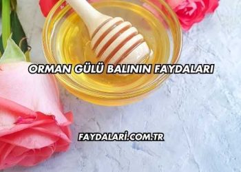 Orman Gülü Balının Faydaları