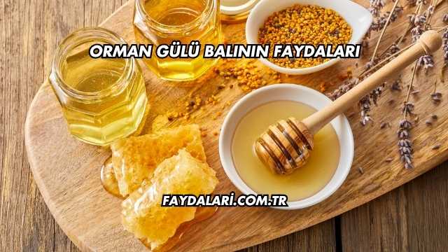 Orman Gülü Balının Faydaları