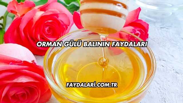 Orman Gülü Balının Faydaları