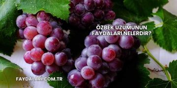 Özbek Üzümünün Faydaları Nelerdir?