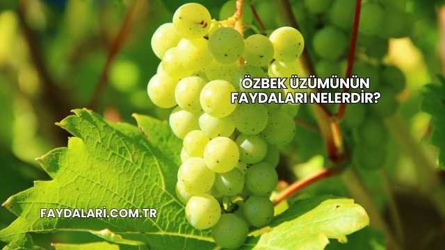 Özbek Üzümünün Faydaları Nelerdir?