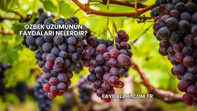 Özbek Üzümünün Faydaları Nelerdir?