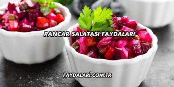 Pancar Salatası Faydaları