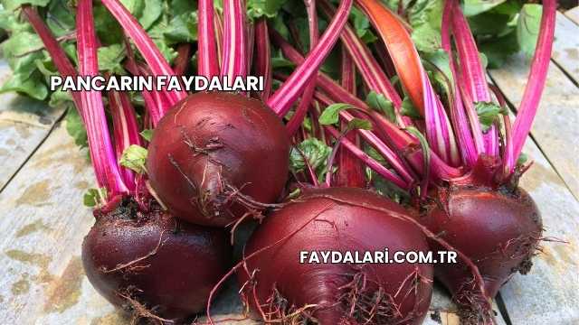 Pancarın Faydaları