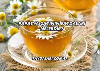 Papatya Çayının Faydaları Nelerdir?