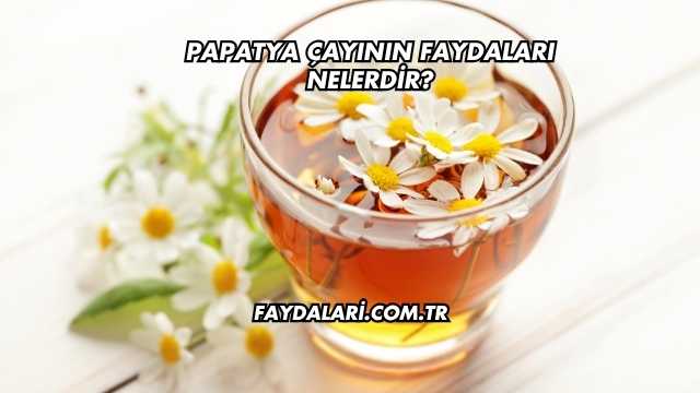 Papatya Çayının Faydaları Nelerdir?
