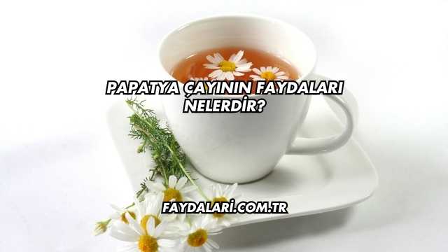 Papatya Çayının Faydaları Nelerdir?