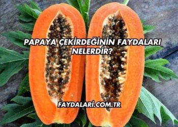 Papaya Çekirdeğinin Faydaları Nelerdir?