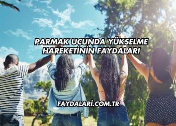 Parmak Ucunda Yükselme Hareketinin Faydaları