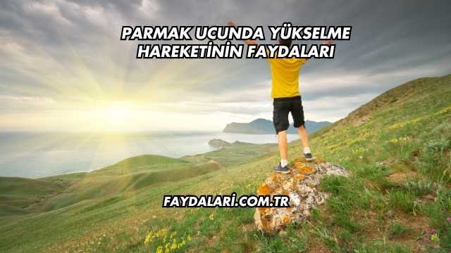 Parmak Ucunda Yükselme Hareketinin Faydaları