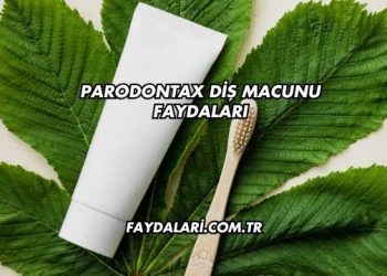 Parodontax Diş Macunu Faydaları